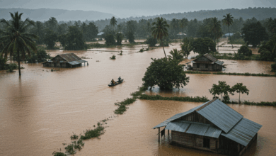 Volunteer Spirit Surges in Sri Lanka Amidst Devastating Flood Crisis