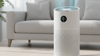 Is Increasing Pollution Driving Your Air Purifier Purchase? Consider These 5 Factors