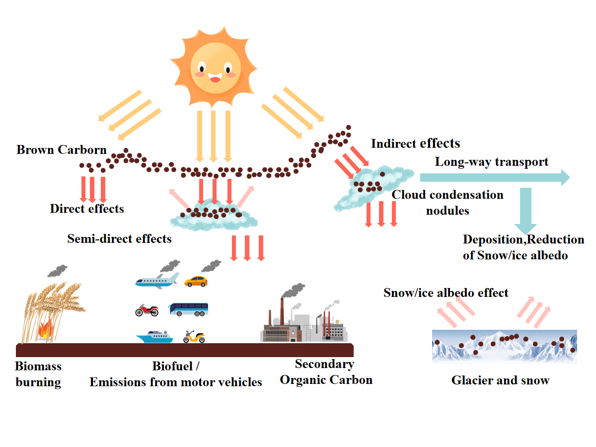 Aerosols and Water Vapour: Key Players in Climate Change Dynamics