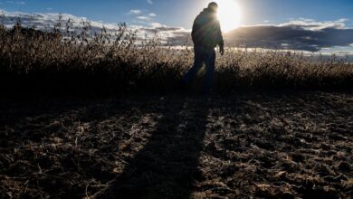 American farmers, who once fed the world, face a volatile global market with diminishing federal backing