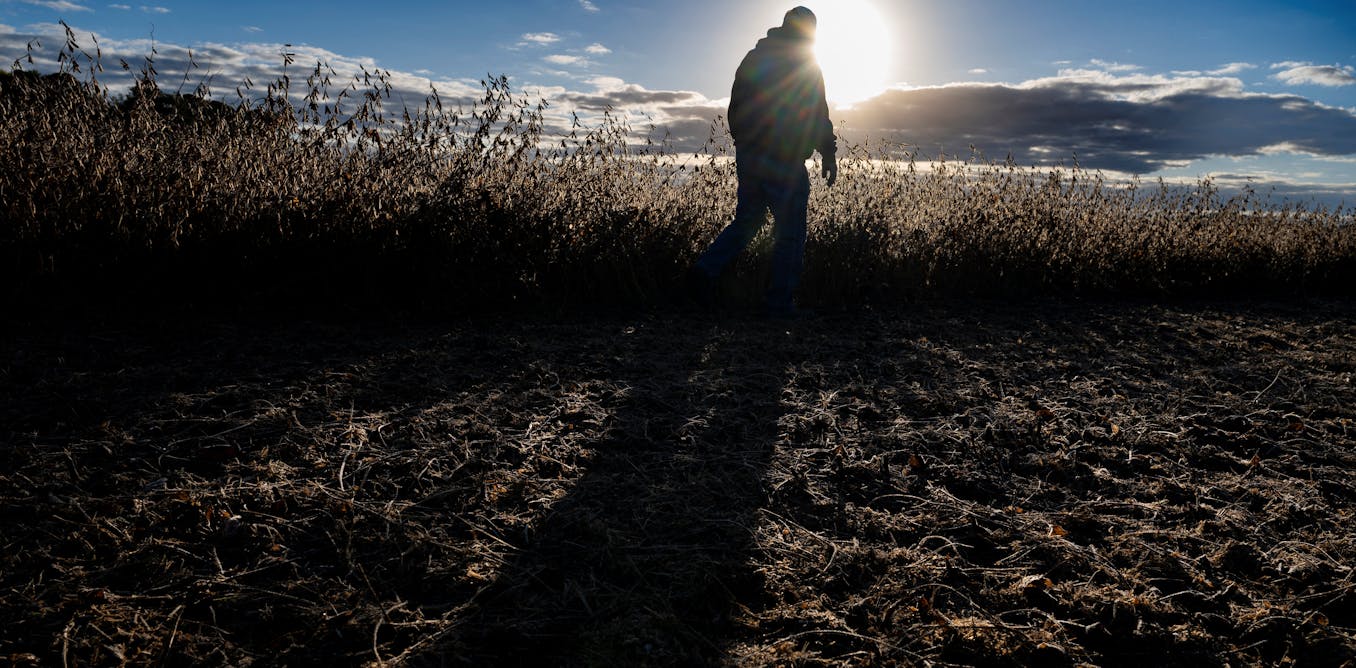 American farmers, who once fed the world, face a volatile global market with diminishing federal backing