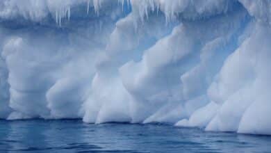 An Antarctic ‘polar thriller’ and a neurodivergent novel imagine a climate changed future