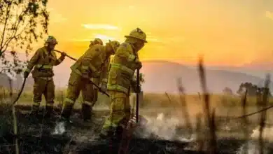 Australia Faces 'Emergency Level' Fires as Firefighters Intensify Battle Against Blazes