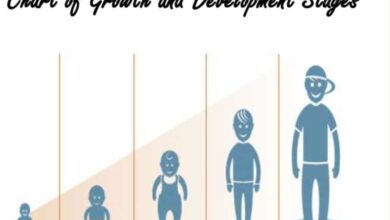 Child Growth