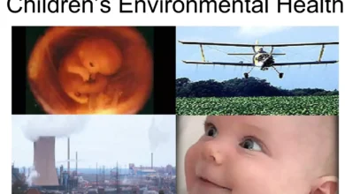 Children's environmental health