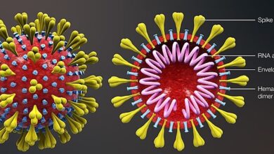 Coronavirus disease (COVID-19)