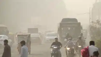 Delhi-NCR Achieves Record Low Air Pollution Levels in 2025
