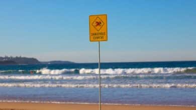 Drownings are surging in Australia. AI can help