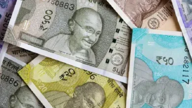 Economic Survey Analyzes How Geopolitics and Strategic Power Gaps Impacted the Rupee in 2025