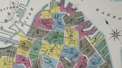 From flammable neighborhoods to moral hazards, fire insurance maps capture early US cities and the landscape of discrimination