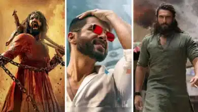 How a Surge of Male Anger Shaped Bollywood's Narrative in 2023