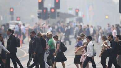 How to protect yourself from bushfire smoke