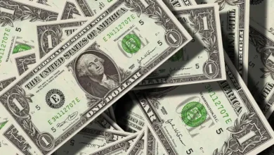 India Reduces US Treasury Holdings and Increases Gold Purchases Amid Dollar Decoupling