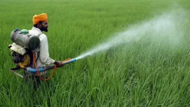 India Unveils Draft Pesticides Management Bill for Farmers