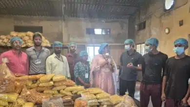 Inspection Uncovers Illegal Industrial Operations in Naraina