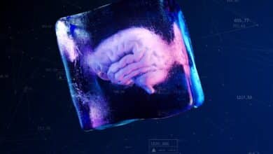 Meth inflames and stimulates your brain through similar pathways – new research offers potential avenue to treat meth addiction