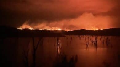 Rain one minute, heatwave the next. How climate ‘whiplash’ drives unpredictable fire weather