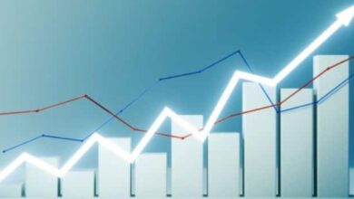 Reduced Government Stake Could Lead to Increased Revenue