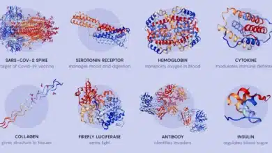 Revolutionary Bacterial Proteins Could Transform Electronics