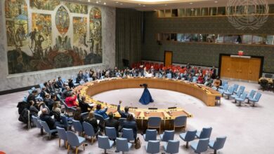 Security Council Renews Mandate of United Nations Peacekeeping Force in Cyprus with Adoption of Resolution 2815