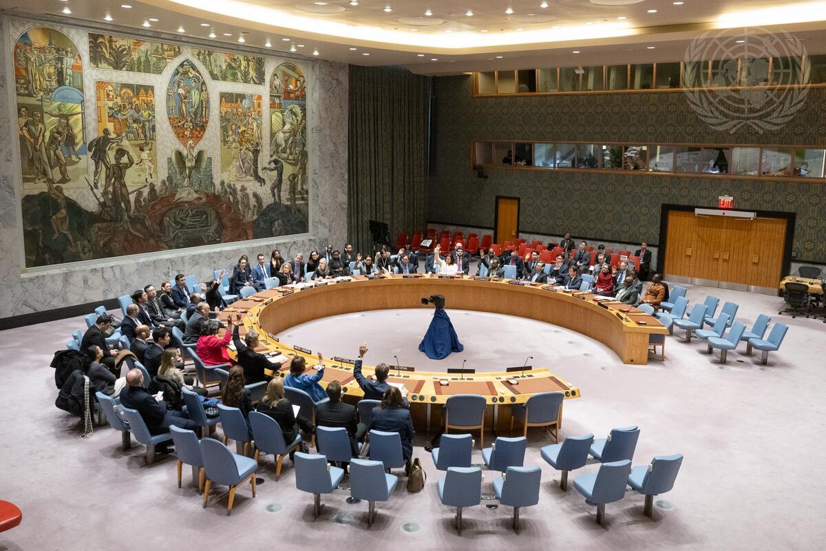 Security Council Renews Mandate of United Nations Peacekeeping Force in Cyprus with Adoption of Resolution 2815