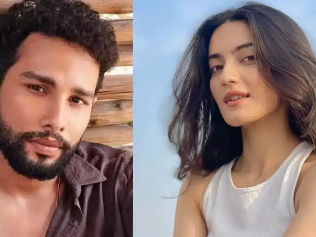 Siddhant Chaturvedi Shuts Down Rumors About Dear Comrade Hindi Remake: "No More Remakes for Me"