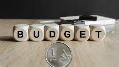 Union Budget 2026: Economists Highlight Growth Priorities with Emphasis on Jobs, Farmers, and MSMEs