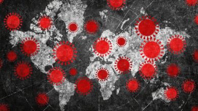 Viral outbreaks are always on the horizon – here are the viruses an infectious disease expert is watching in 2026