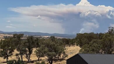 When bushfires make their own weather