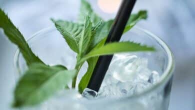 Why does mint make water taste so cold? A scientist explains