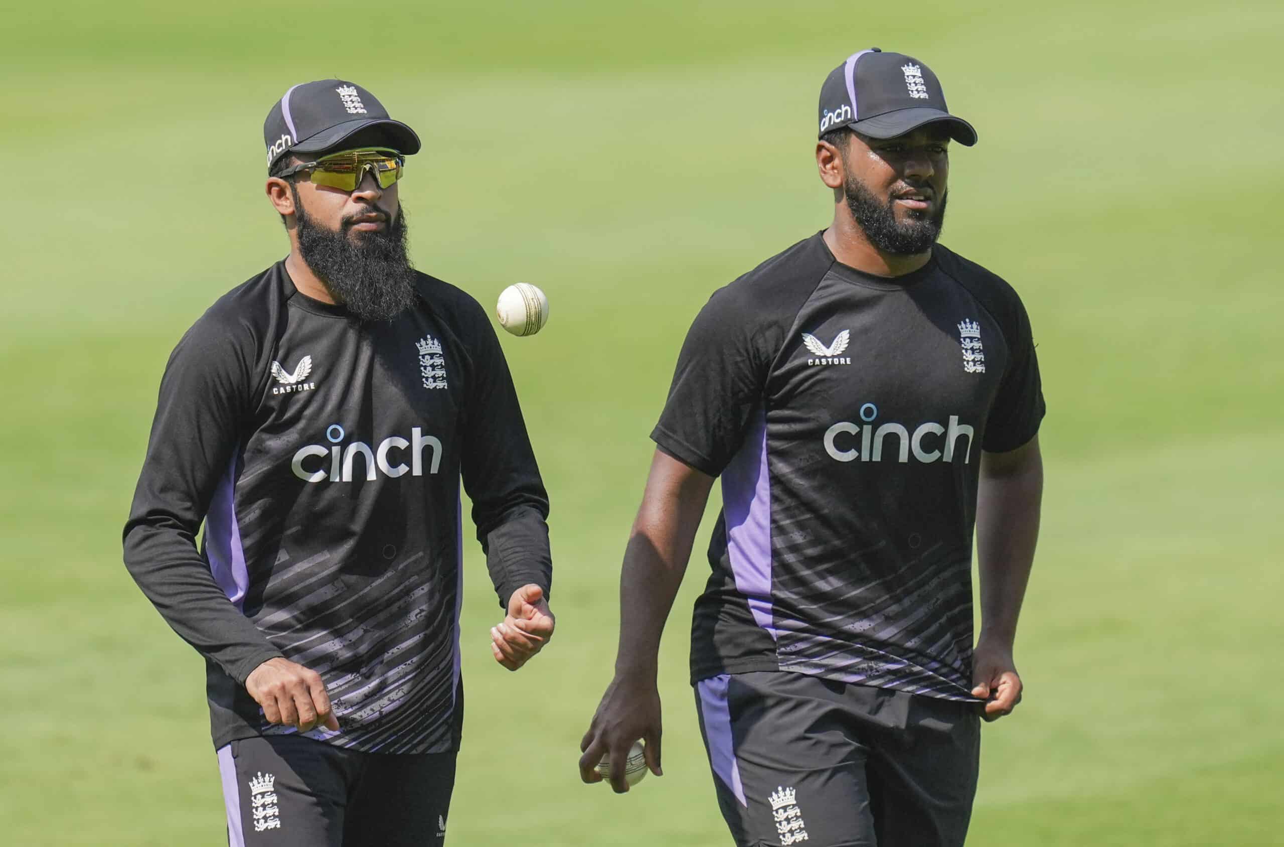 30 Cricketers of Pakistani Descent, Including Sikandar Raza and Rehan Ahmed, Ready for T20 World Cup