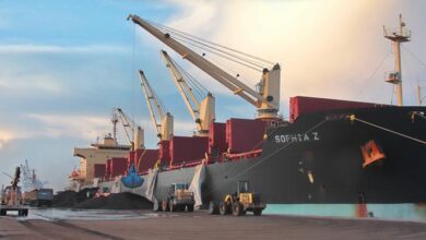 Centre Informs Lok Sabha About Four Ports Under Construction in Andhra Pradesh