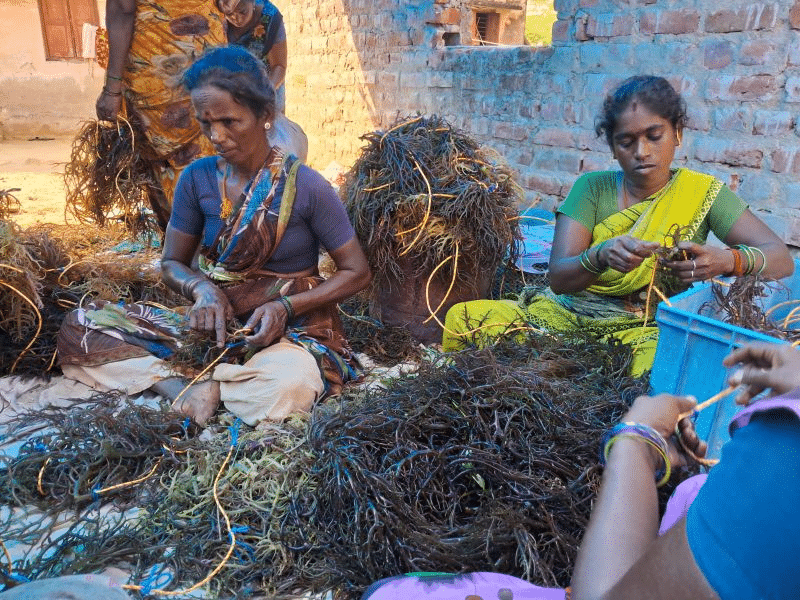 Empowering Fisherwomen: ₹72 Lakh Subsidy for Puducherry Cooperative