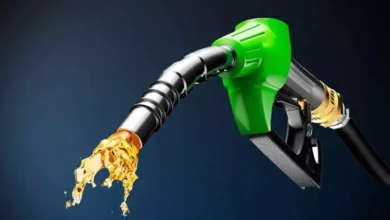 Ethanol Industry Confronts Challenges as Excess Capacity Impacts Green Fuel Strategy