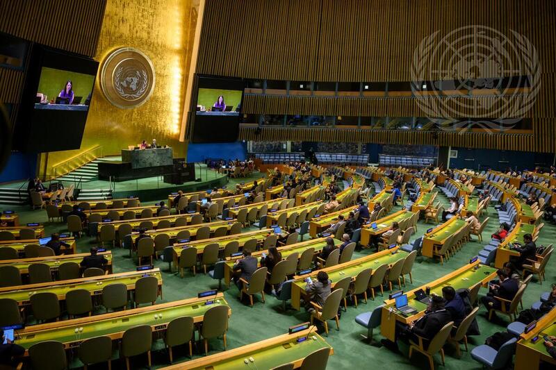 General Assembly Appoints Artificial Intelligence Panel and Names Joint ...