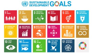 Global health ethics