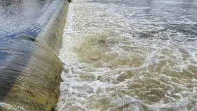 Government Boosts Flood Management Initiatives Across States