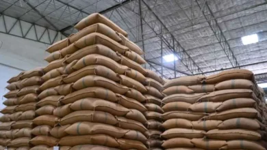 Government Eases Wheat Stock Limits Ahead of Festive Season