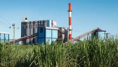 Government Launches Support Scheme for Cooperative Sugar Mills