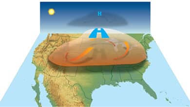 Heatwaves: Heat and hot weather