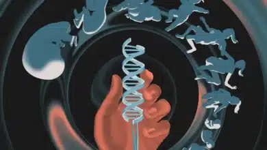 Human genome editing: Technology for making specific changes to DNA