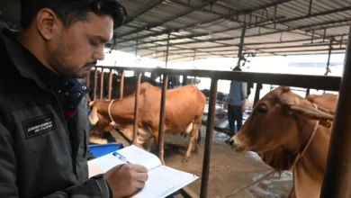 India Boosts Animal Health with New Hormone Production Facility
