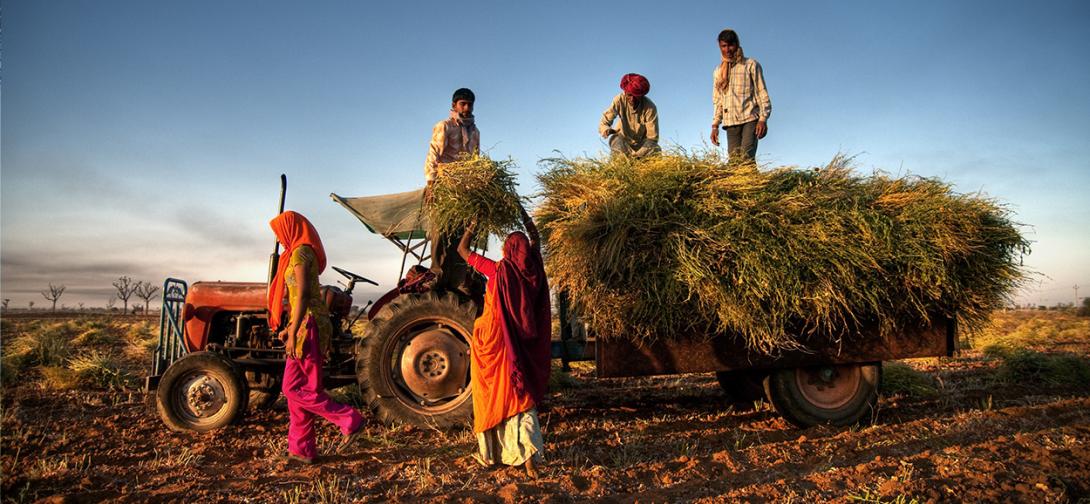 India Boosts Farmer Welfare Through Comprehensive Schemes