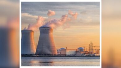 India Boosts Nuclear Power Capacity with New PHWRs