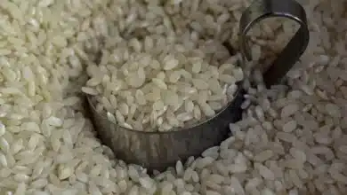 India Pauses Rice Fortification Under Welfare Schemes