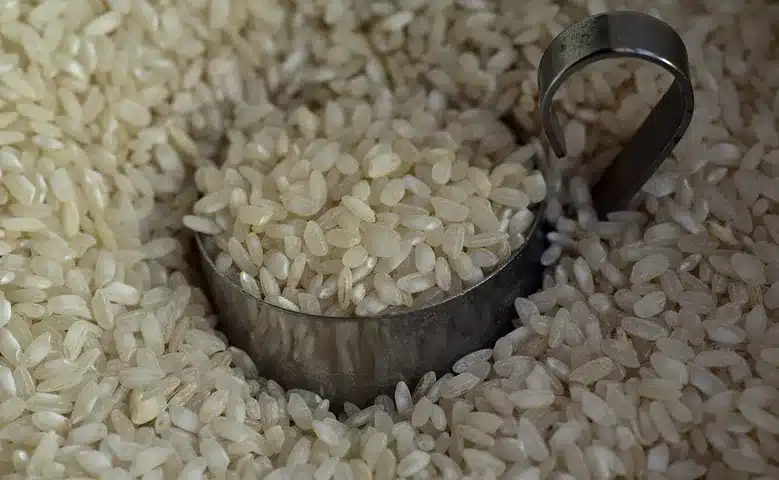 India Pauses Rice Fortification Under Welfare Schemes