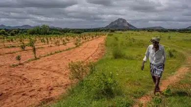 India Prioritizes Sustainable Farming to Combat Climate Change