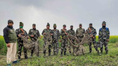 India and Nepal Forge Wildlife Conservation Partnership