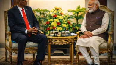 India and Seychelles Strengthen Ties with Special Economic Package
