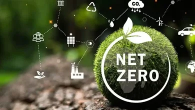 India's Manufacturing Growth vs. Net Zero Goals: CEA Highlights Emission Challenges